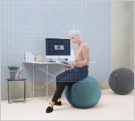 Gouchee Home Alfa Sitting Ball Chaise de ballon d'exercice au design européen pour bureaux, Pilates à domicile, posture ergonomique, équilibre, stabilité et fitness Ballon suisse esthétique avec housse souple et poignée.