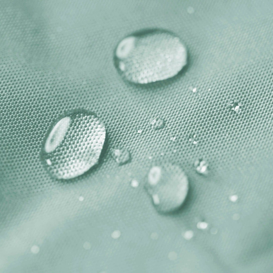 Close-up of water droplets on a textured green surface