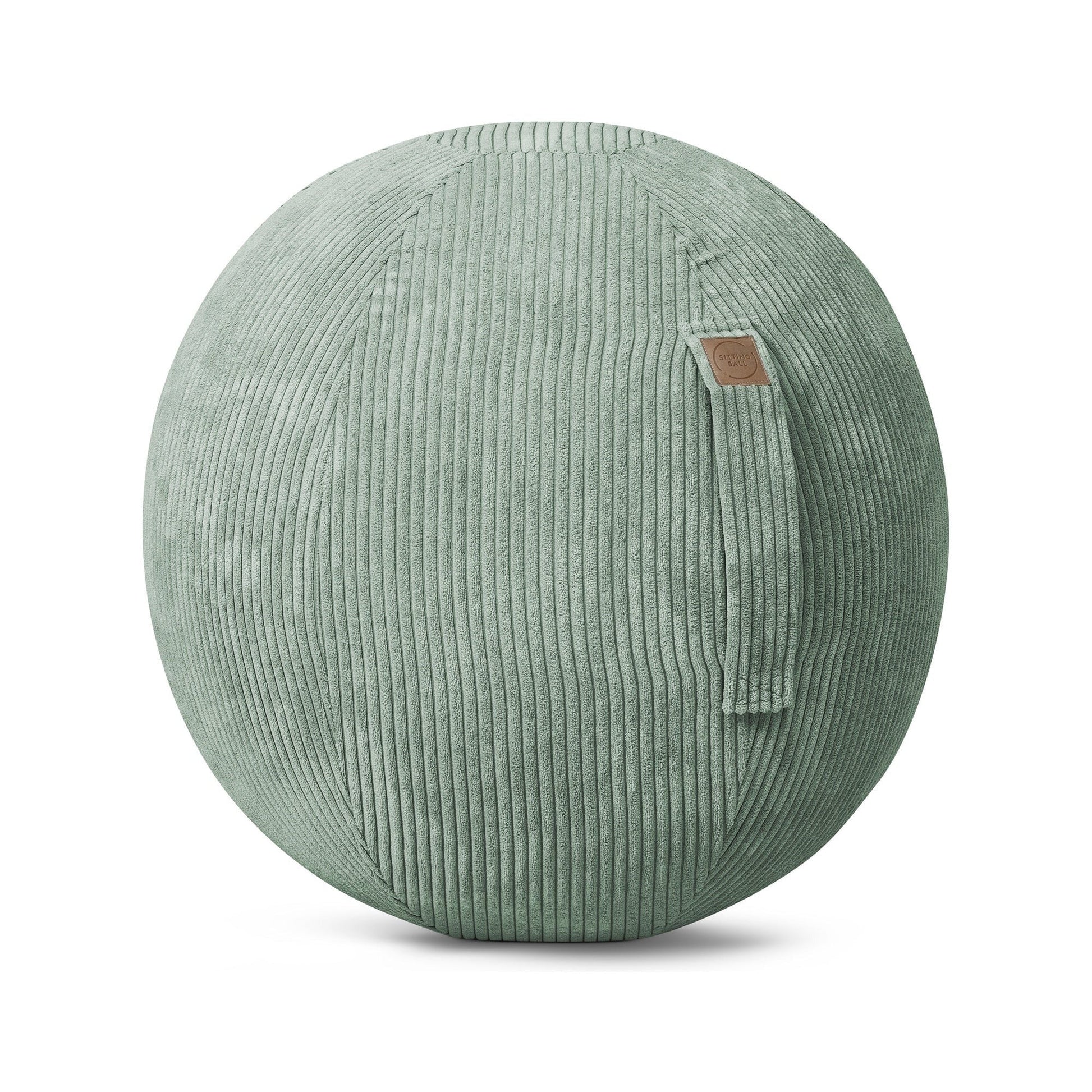 Shara Ergonomic Sitting Ball