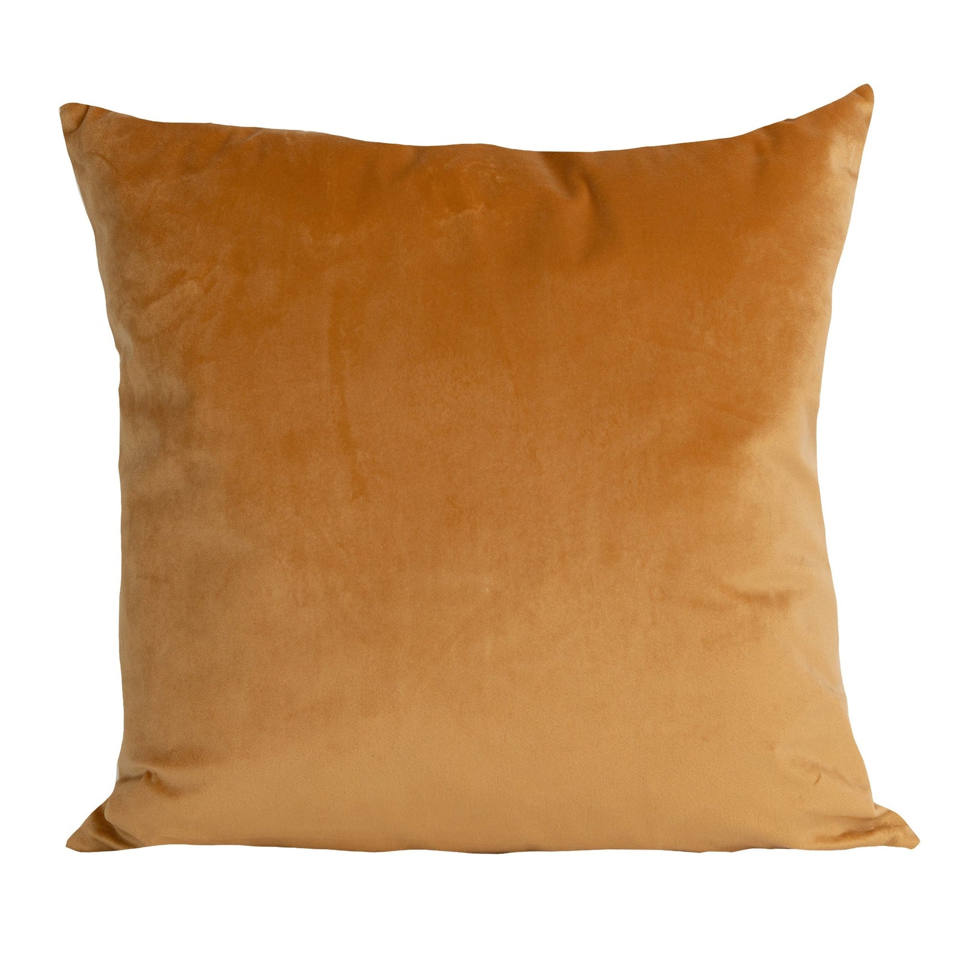 Coussin Shiba Inu 2 pièces