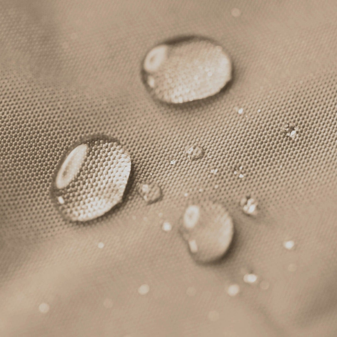 Swing Brava Bean Bag Chair